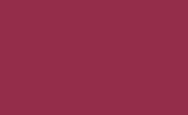 [CLEARANCE] BD SEAMLESS BACKGROUND PAPER 2.72X11M (MADE IN USA)
