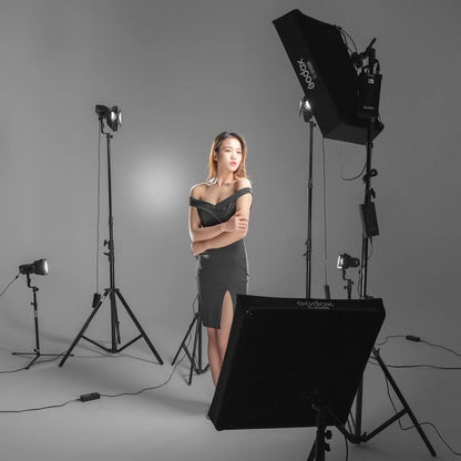 Godox FL-SF6060 Softbox For FL150S With Grid