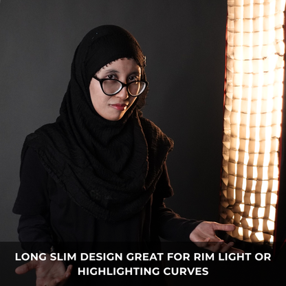 GS StripBox Rectangular Softbox with Grid 30x140cm for Rim Light & Full Body Shoots